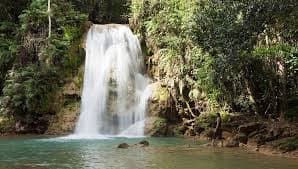 Samaná Waterfalls & El Salto del Limón thumbnail 3