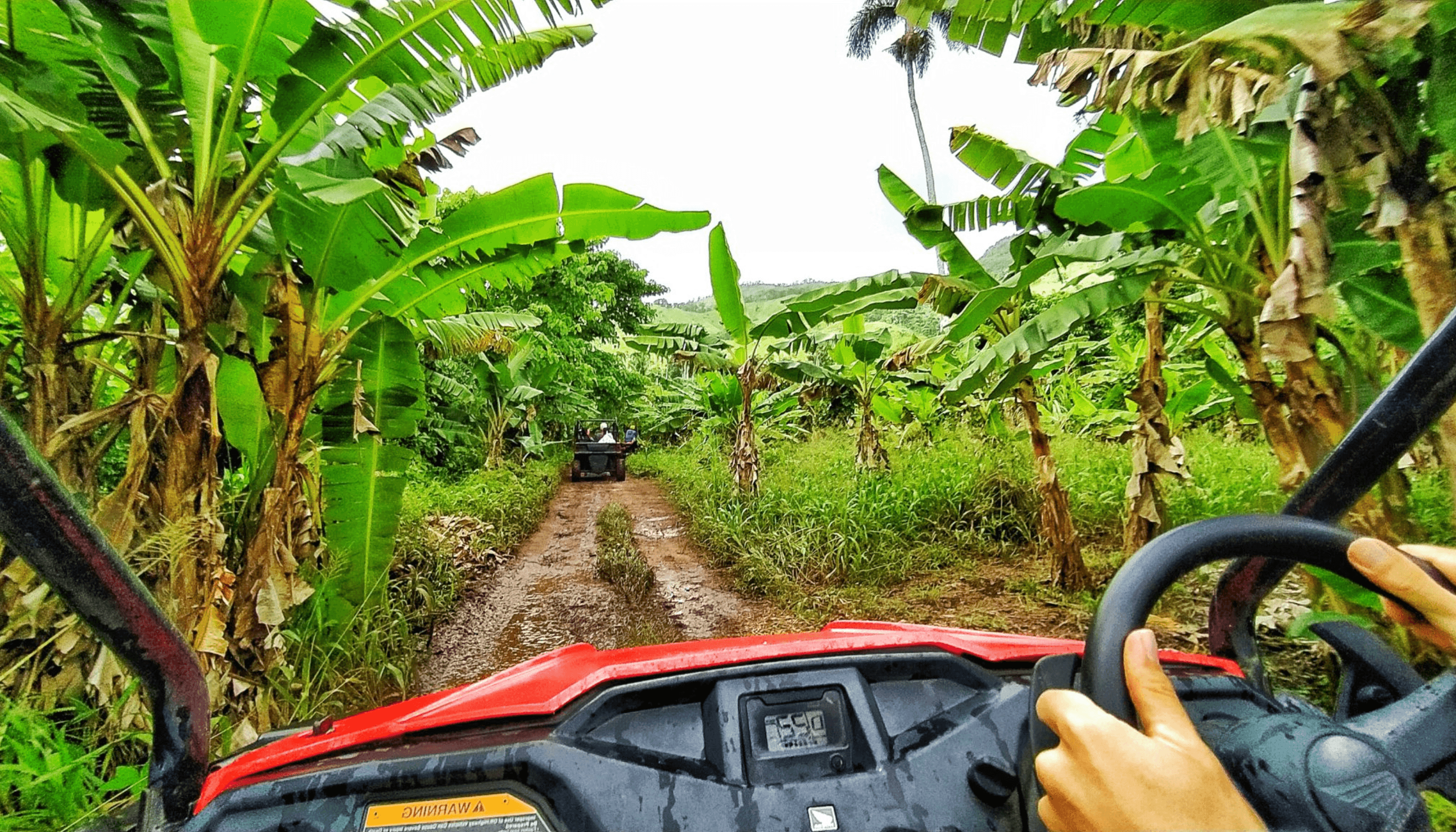 Dune Buggies Adventure