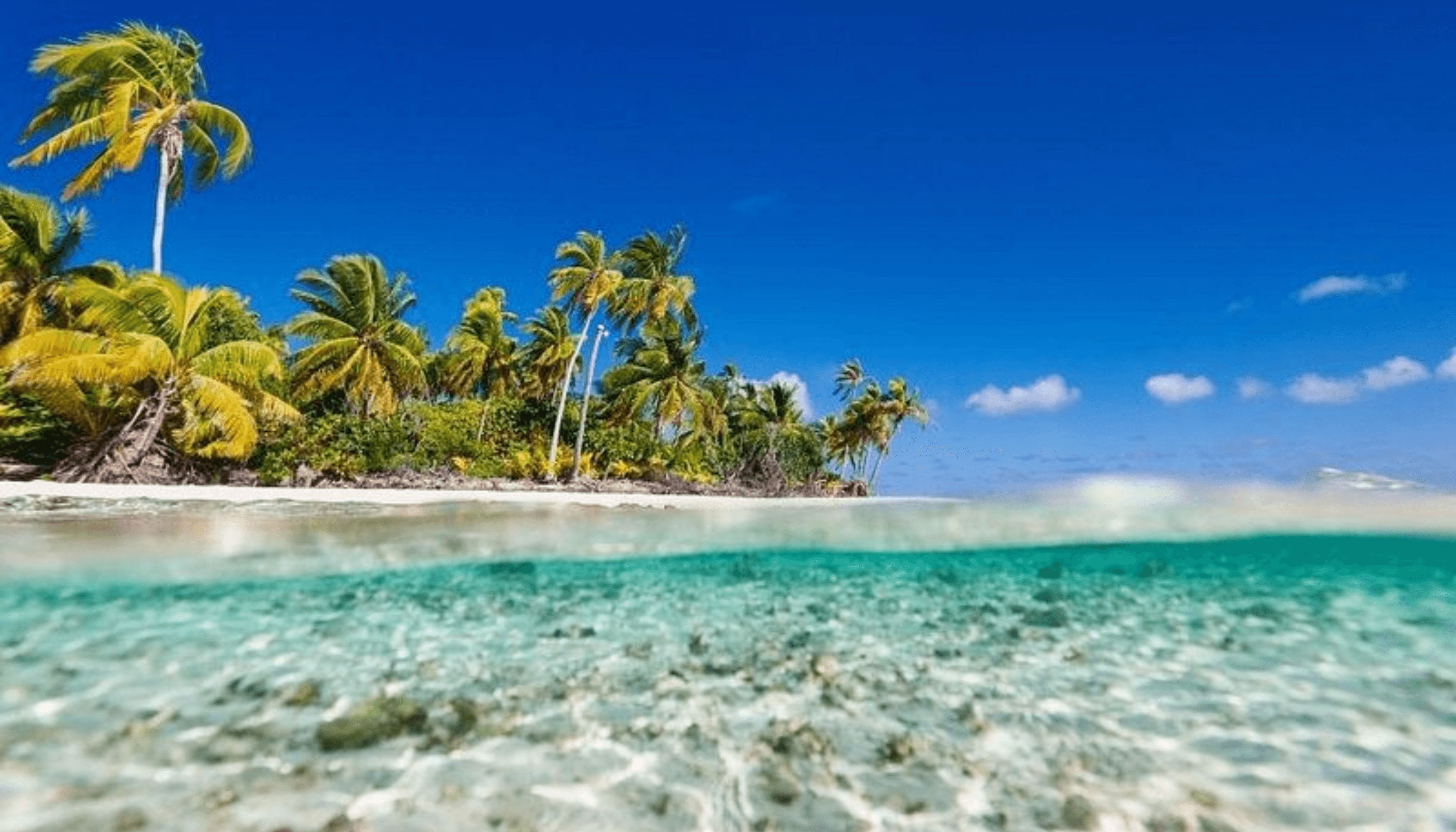 Saona Island