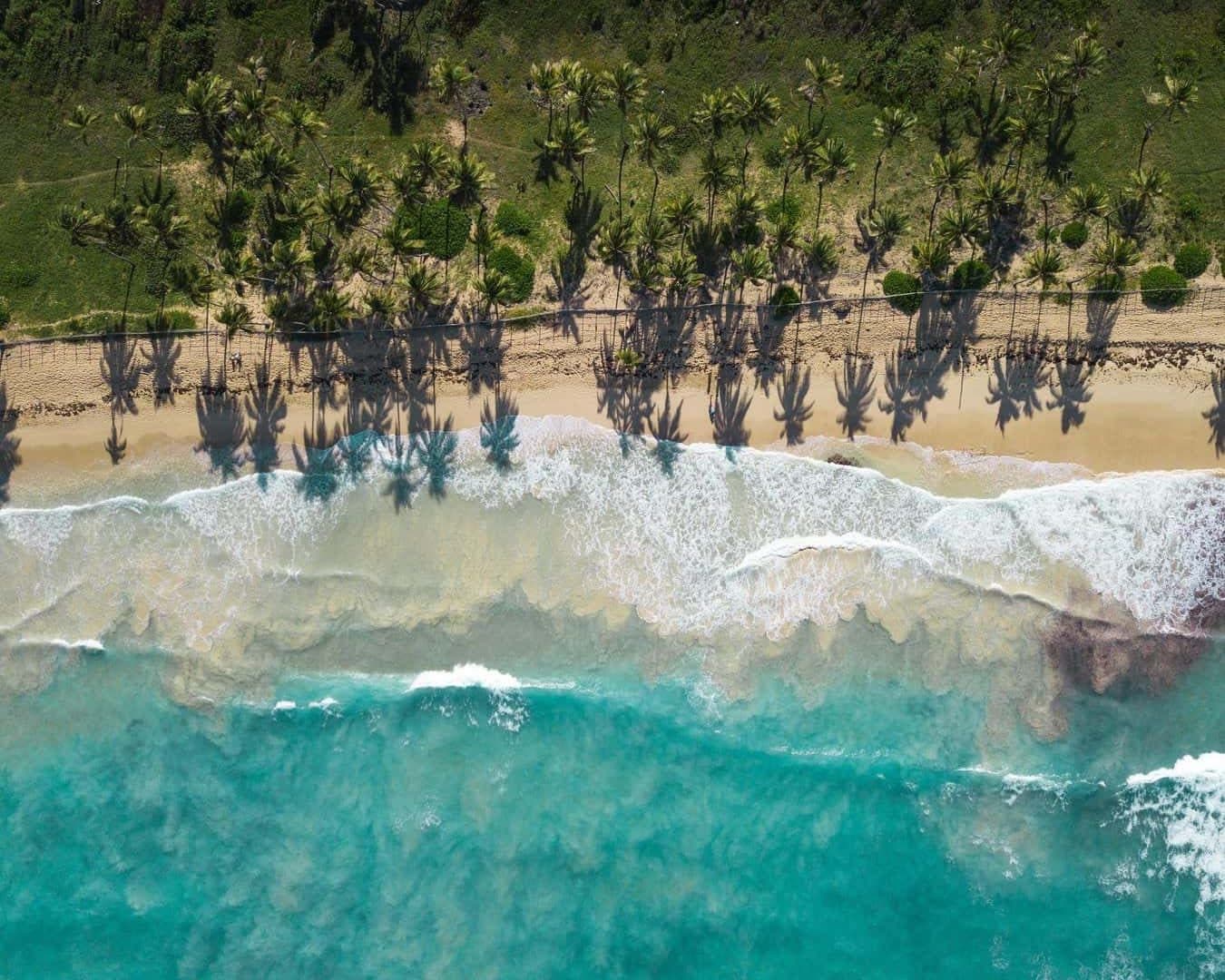 Punta Cana Beach Day