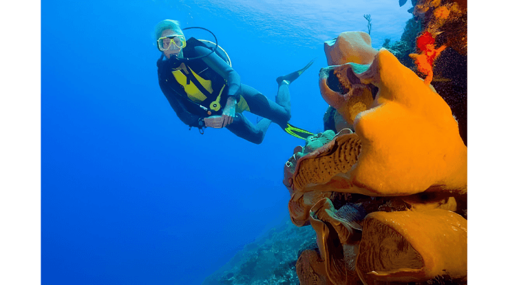 Scuba Diving 