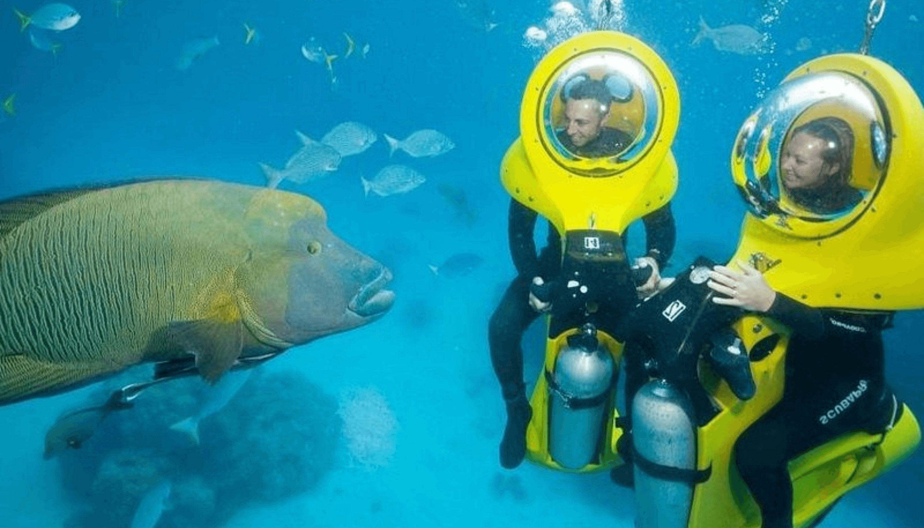 Scuba Diving - Image 1